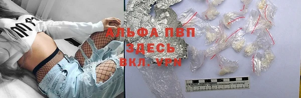 индика Аркадак