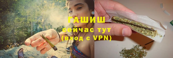 индика Аркадак