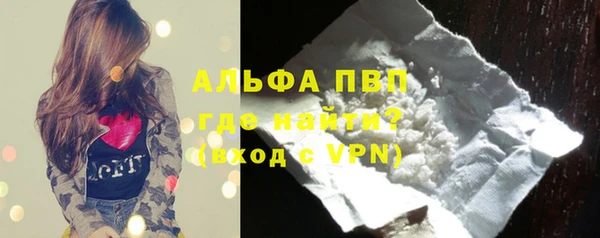 индика Аркадак