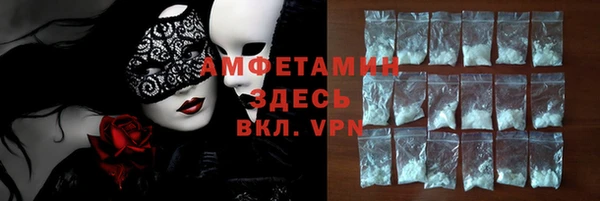 индика Аркадак