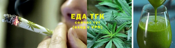 крисы Абаза