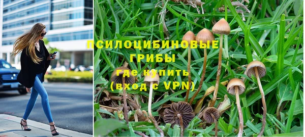 марки lsd Армянск