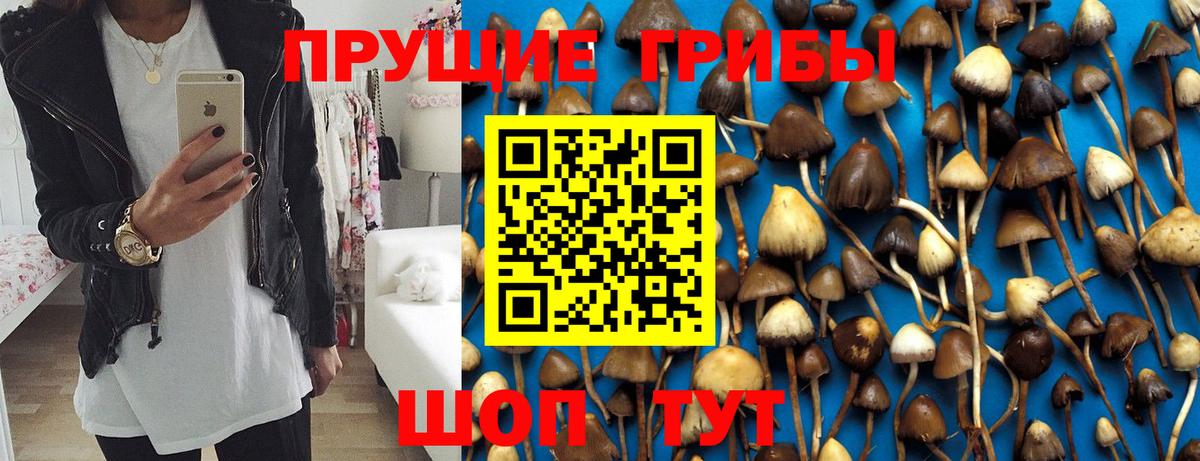 Псилоцибиновые грибы Cubensis Уварово