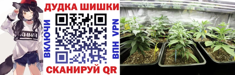 где можно купить наркотик  Уварово  Канабис семена 